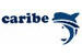 Pneumatique Caribe